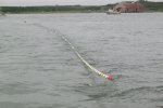 Moving the net around, you can see the fish in it.